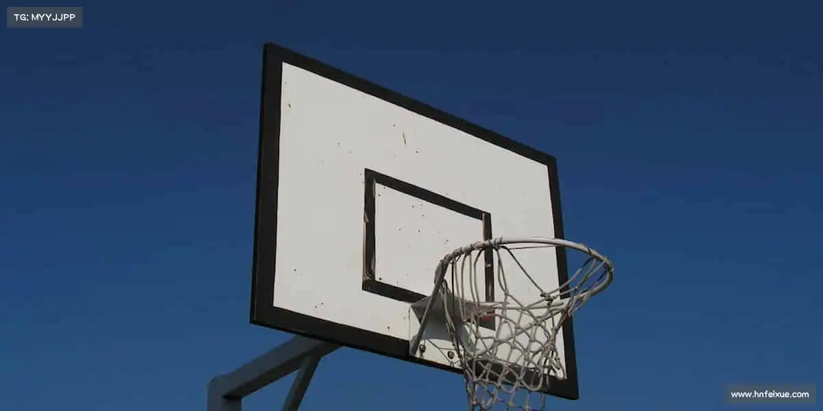 为什么选择我们
